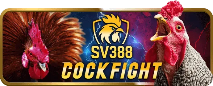 Cá cược bóng rổ